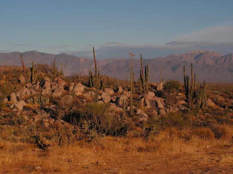 7402 vor Guerrero Negro 